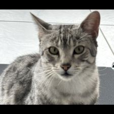 Profile image of gwi_dcb5