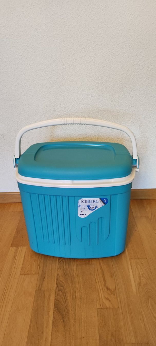 Frigoriferi & Refrigeratori: Neu 32L kühlbox – Nuovo e nell'imballaggio originale da Dietikon venduto da idu_w89c