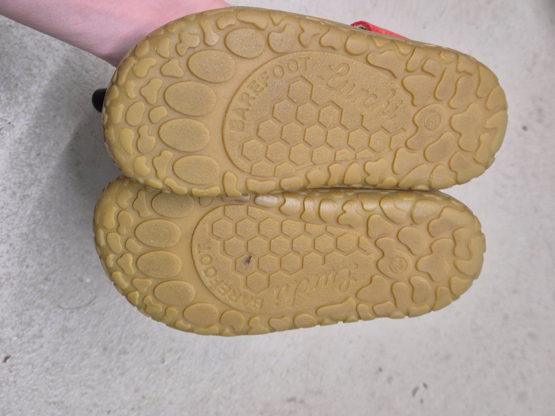 Scarpe per ragazzi: Lurchi Barefusssandal Nathan 24 – Usato da Adliswil venduto da monikas47 7