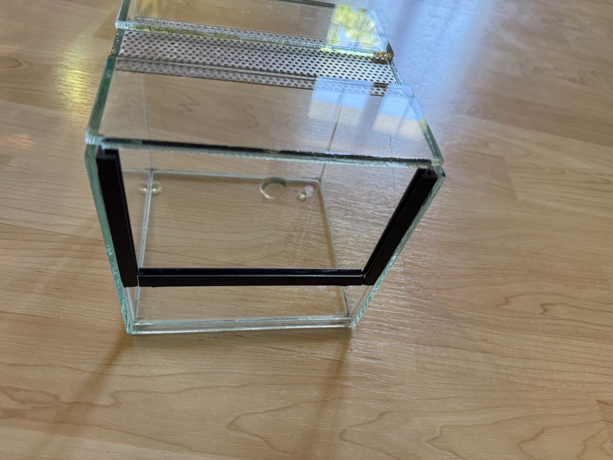 Terrario: Terrarium 10x10x10cm – Nuovo (secondo la descrizione) da Lyssach venduto da wirbelwind87 1