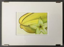 Frucht-Bilder | Mischtechnik auf Papier (Preis/Stk.)