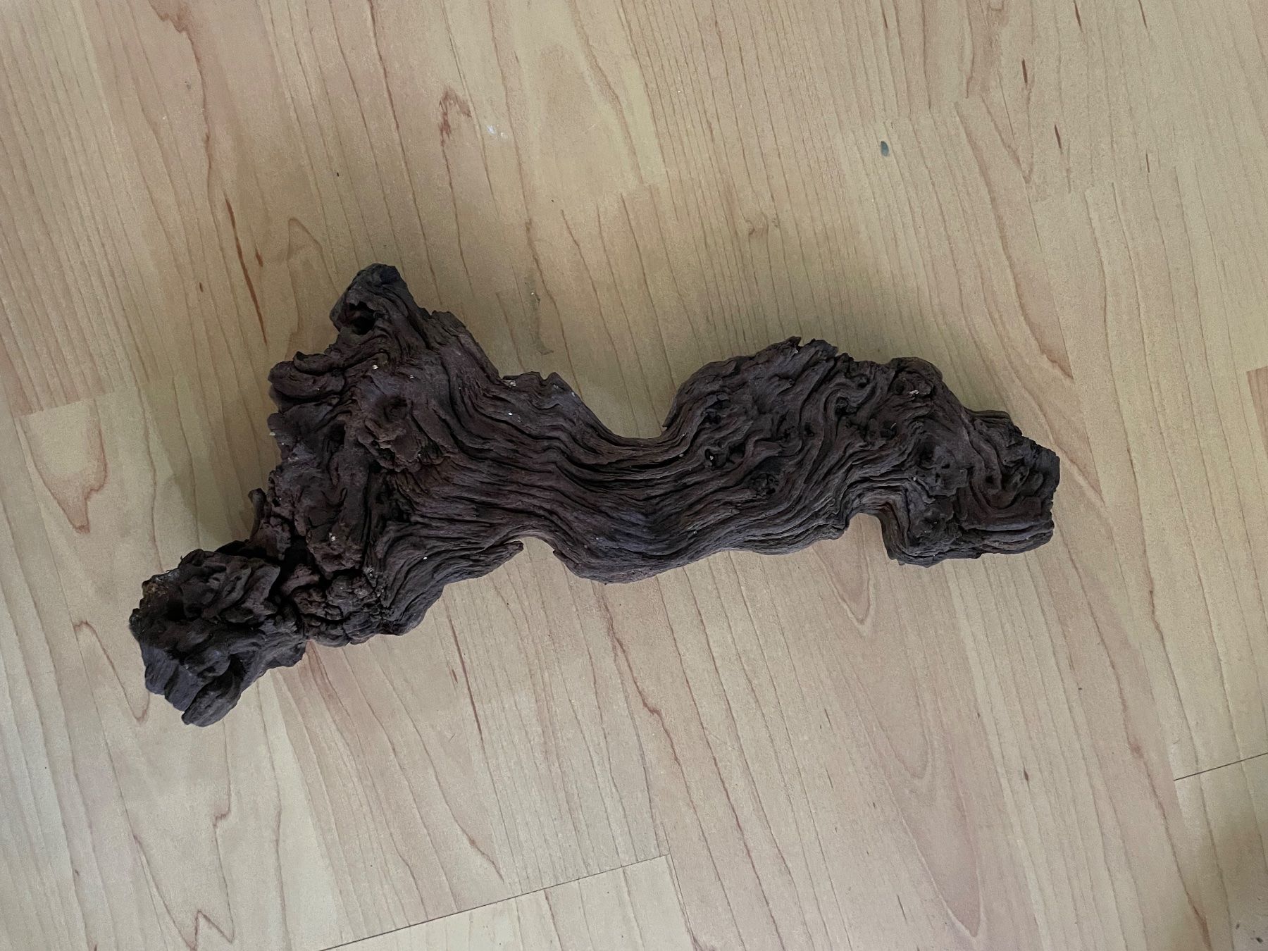 Tutte le decorazioni: Branches de tout types pour terrarium – Usato da Monthey venduto da rma_m72q 1