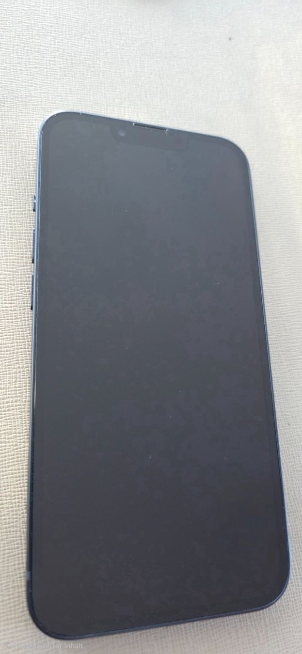 Apple Telefoni cellulari / Smartphones: iPhone 13 – Usato da Düdingen venduto da Zzzorro