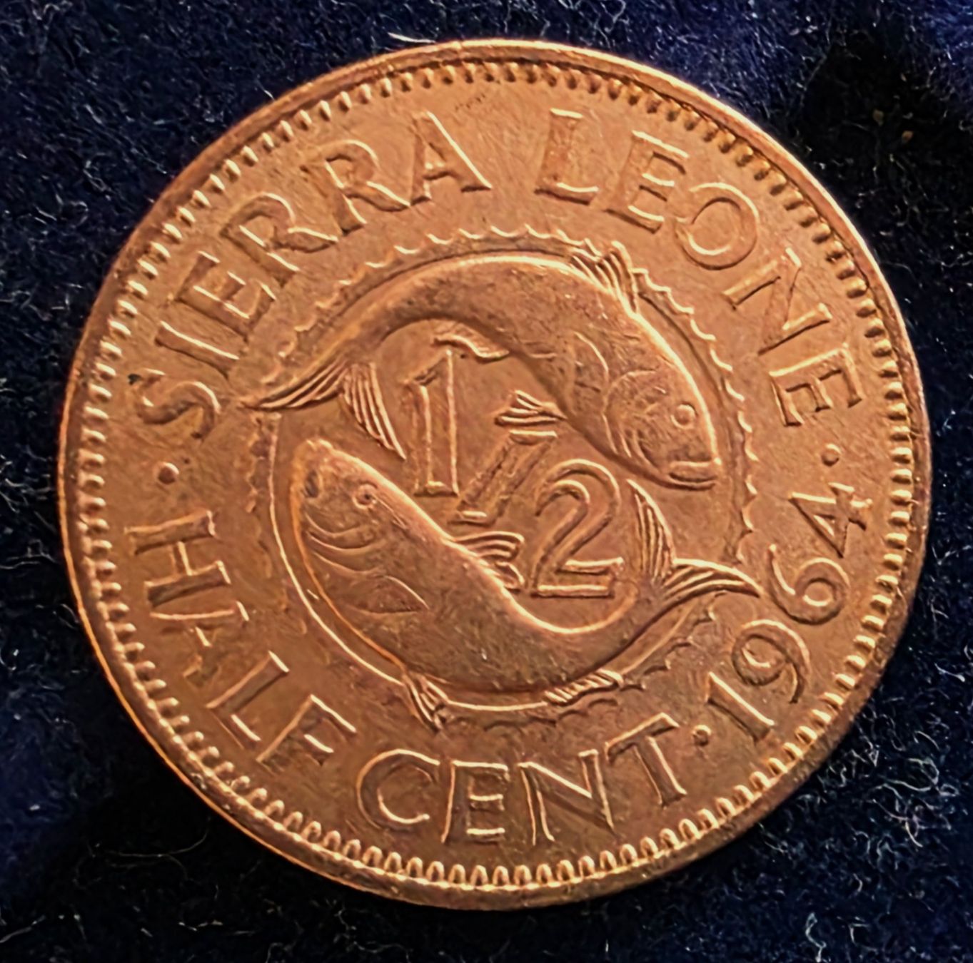 Alle Münzen: SIERRA LEONE 1/2 CENT 1964 – Gebraucht aus winterthur von CoinPassion