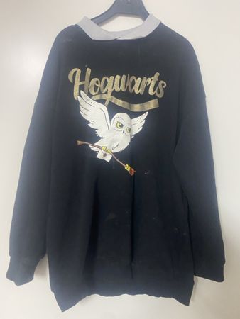 Hogwarts Harry Potter 146