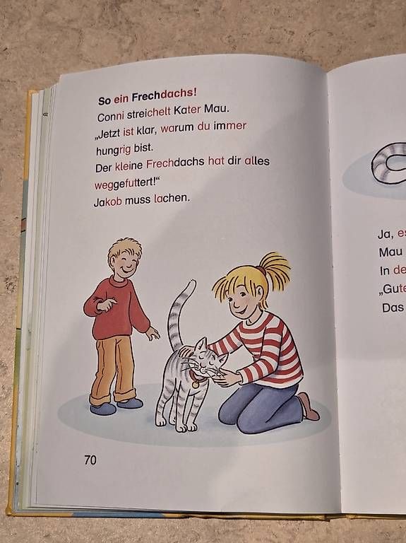 Libri: Lesebuch – Usato da Vinelz venduto da man_t2q9 1