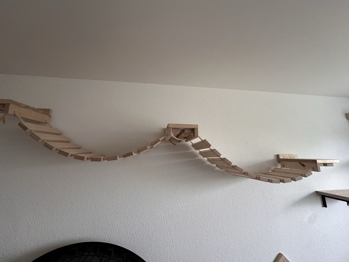 Tiragraffi: Katzenwand inkl. Katzenrad – Usato da Bütschwil venduto da jojo99 2