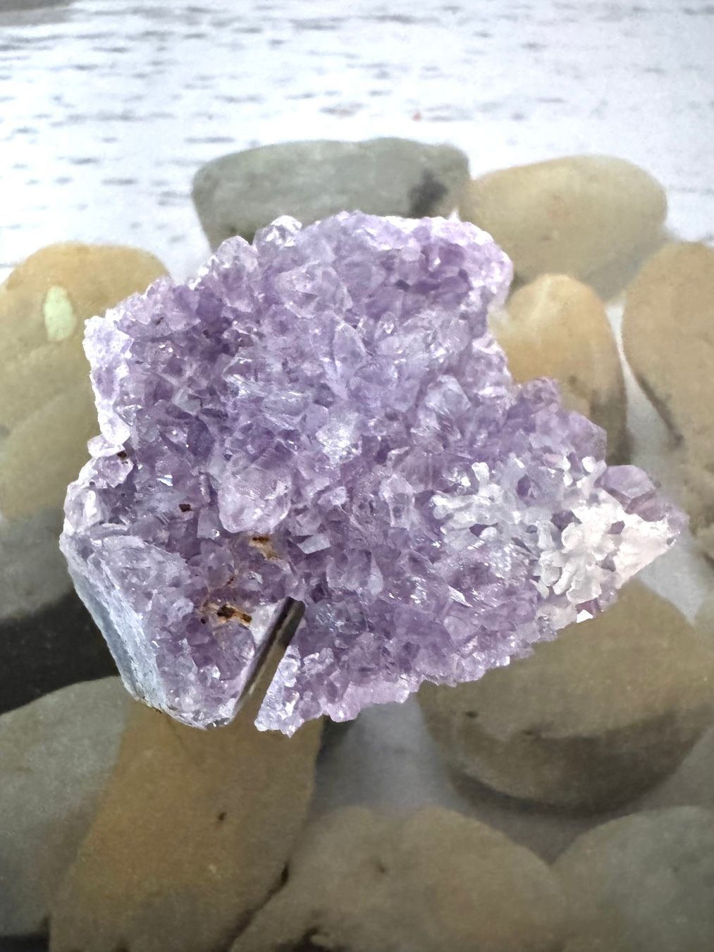 Pierres précieuses: Amethyst - Druse – Neuf (Voir description) à Biberist par Steine