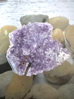 Amethyst - Druse