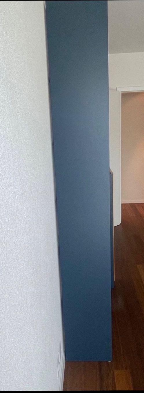 Pfister Scaffali: Wandregal oder Raumtrenner in Taubenblau – Usato da Nussbaumen AG venduto da normajeanbaker 2