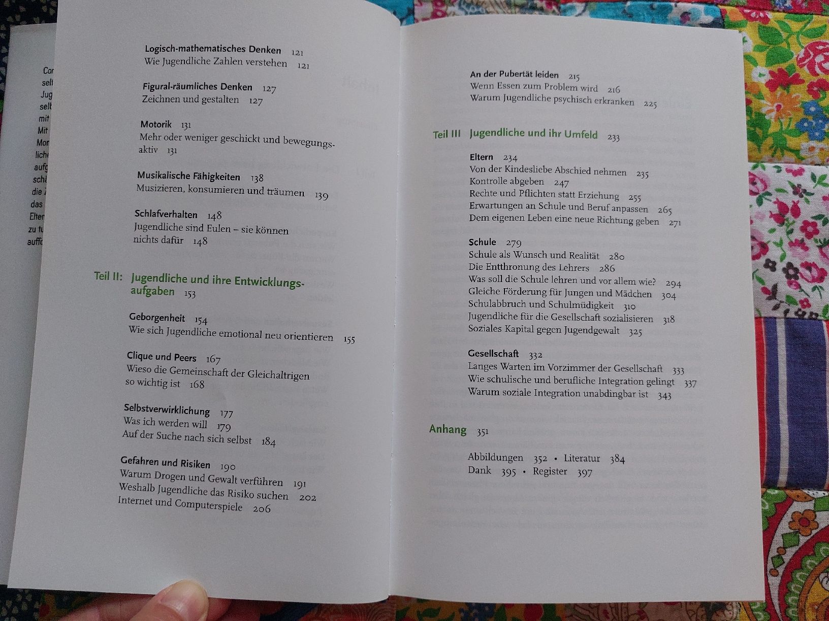 Bücher: Largo, Czernin: Kinder durch die Pubertät begleiten – Gebraucht aus Romanshorn von SwissEnn 8