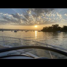 Profile image of sunseeker1974