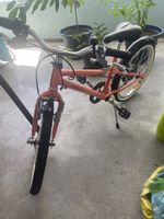 Fahrrad Riverside 500 (20 Zoll)
