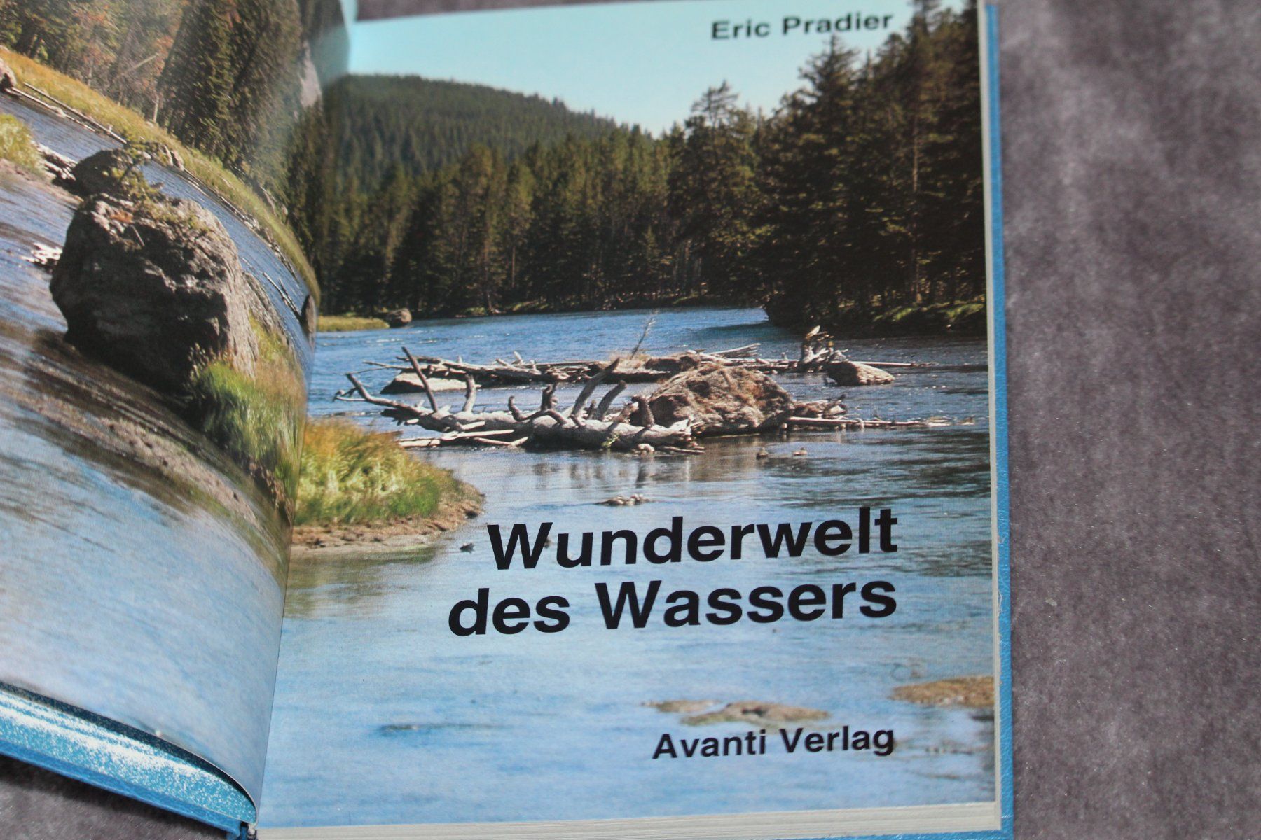 Bücher: Wunderwelt des Wassers AVANTI – Gebraucht aus Grenchen von juebo