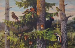 Bild Schulwandbild Vögel Klein Vögel mit Holzleisten 190x...