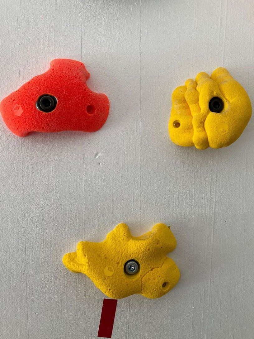 Servierplatten: Kletterwand mit Flathold Griffen – Gebraucht aus Münchenbuchsee von sar_lx8c 1