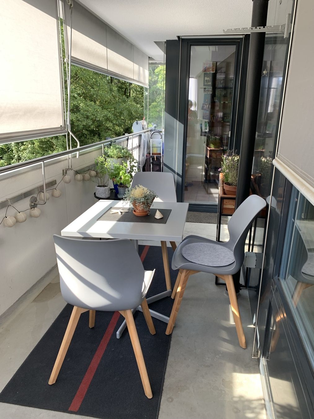 Conforama Sedie: Stühle – Usato da Basel venduto da talca88 1