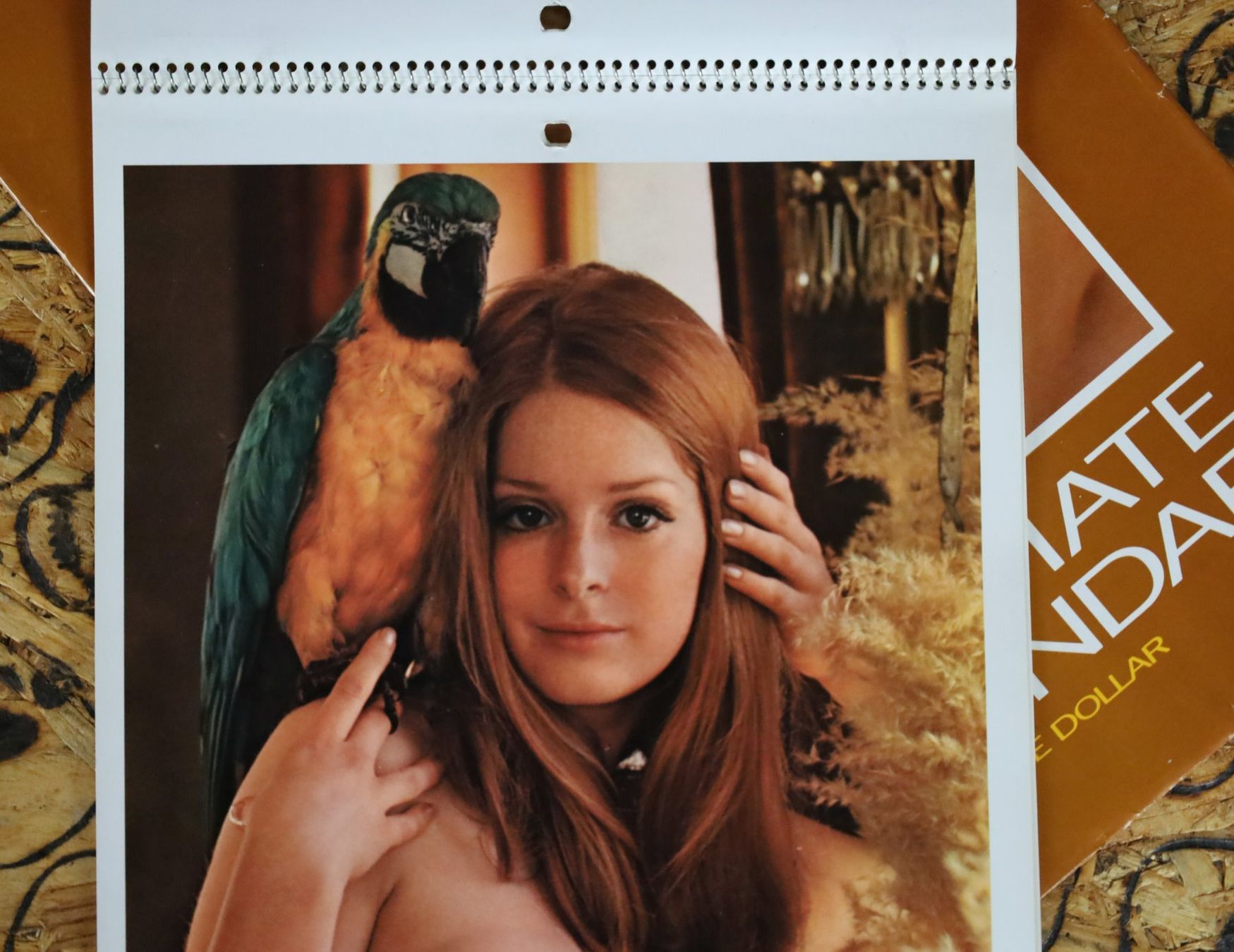 Playboy Calendari: PLAYBOY Kalender 1972 – Usato da Birrwil venduto da brandschatz_birrwil 2