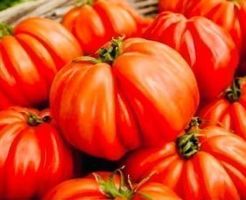 50 SAMEN GRAINES SEMI Tomate OCHSENHERZ‪‪‪‪‪‪