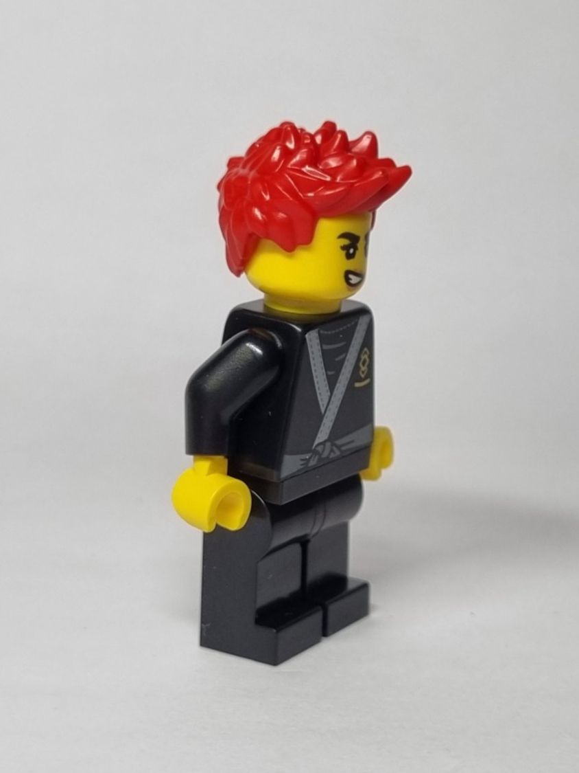 Lego Kit di costruzioni: LEGO BAM Easter 2025 Ninja with black tiger robe – Nuovo (secondo la descrizione) da Basadingen venduto da NekoBricks 4