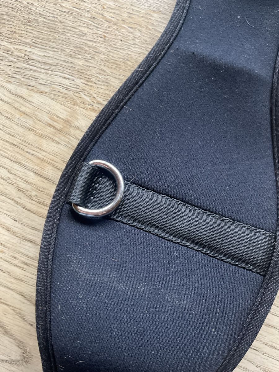 Selle & Accessori: Stübben Dressurgurt Grösse 65cm – Usato da Oberembrach venduto da kel_jj57 3