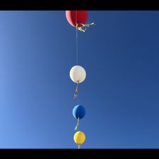 Profile image of sop_ckx8
