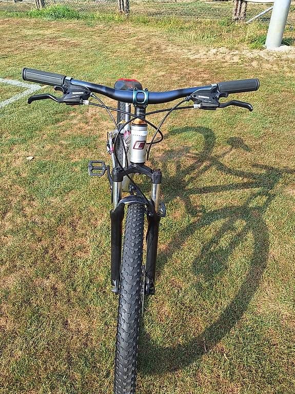 Velos: California Laser W – Gebraucht aus Winterthur von nik_2gxw 3