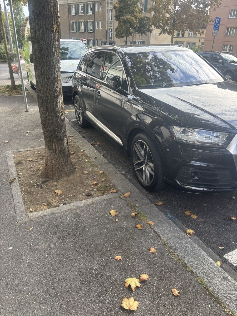 Audi Autos: Audi q7 – Gebraucht aus Dulliken von seb_t8ml 2