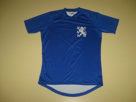 Sport Trikot Ruder Seeclub Zürich / Size L