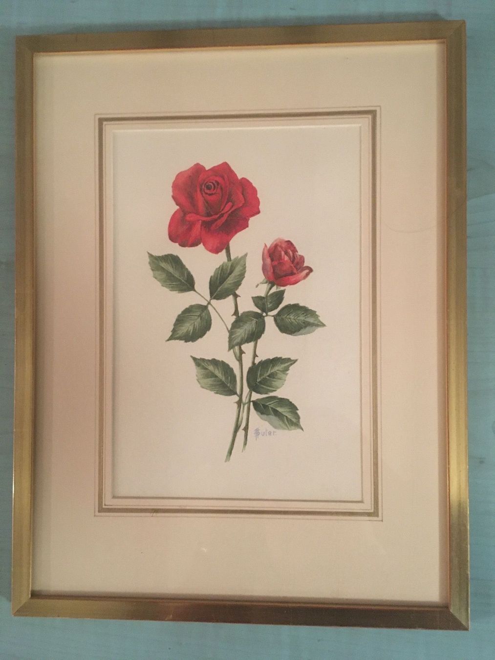 Dipinti: Aquarell Rote Rose – Usato da Oberrieden venduto da PEGNE