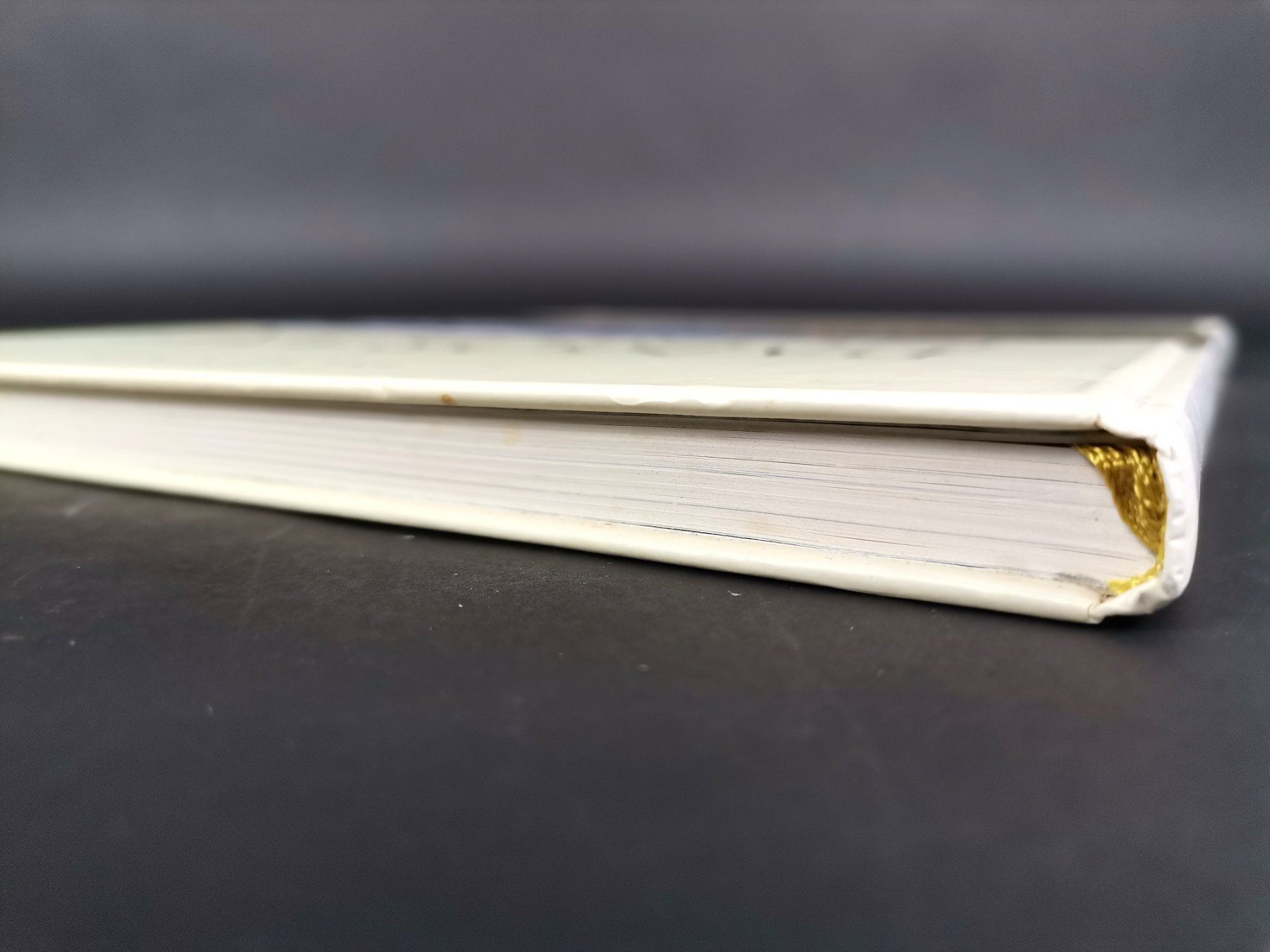Libri: BUCH Panorama Norwegen – Usato da Schaffhausen venduto da Restwert_SH 5
