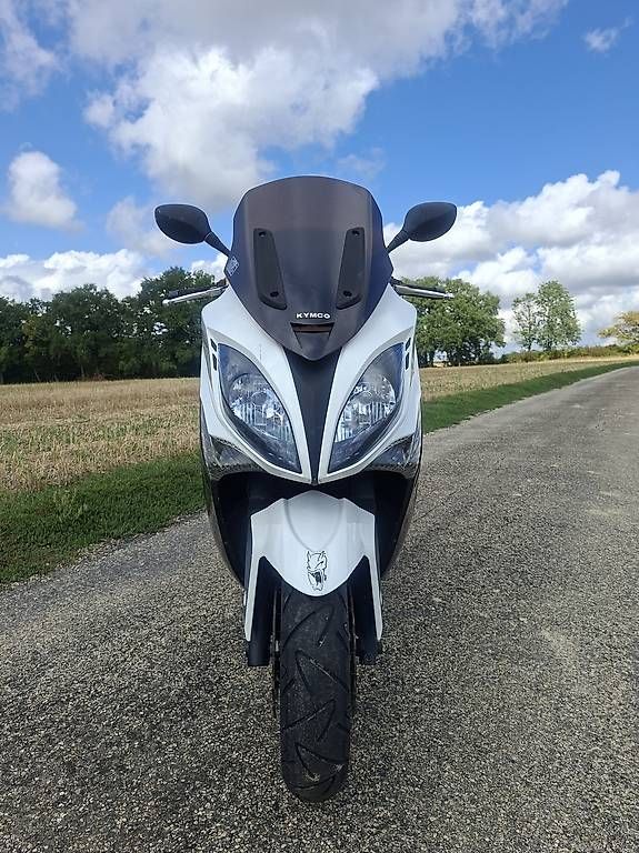 Scooters: Kymco Xciting R300i  – Gebraucht aus Meyrin von ant_2tk9 3