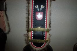 Dachshaarriemen