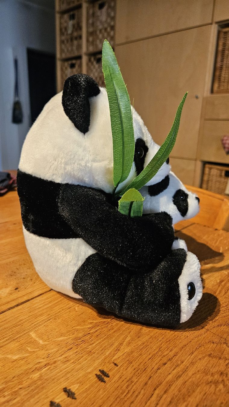 Jouets: Panda Plüschtier / Peluche – Neuf (Voir description) à Dintikon par Zaza_Lolo 4