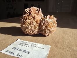 Selenit Rosen (Wüstenrose) aus Abilene Texas