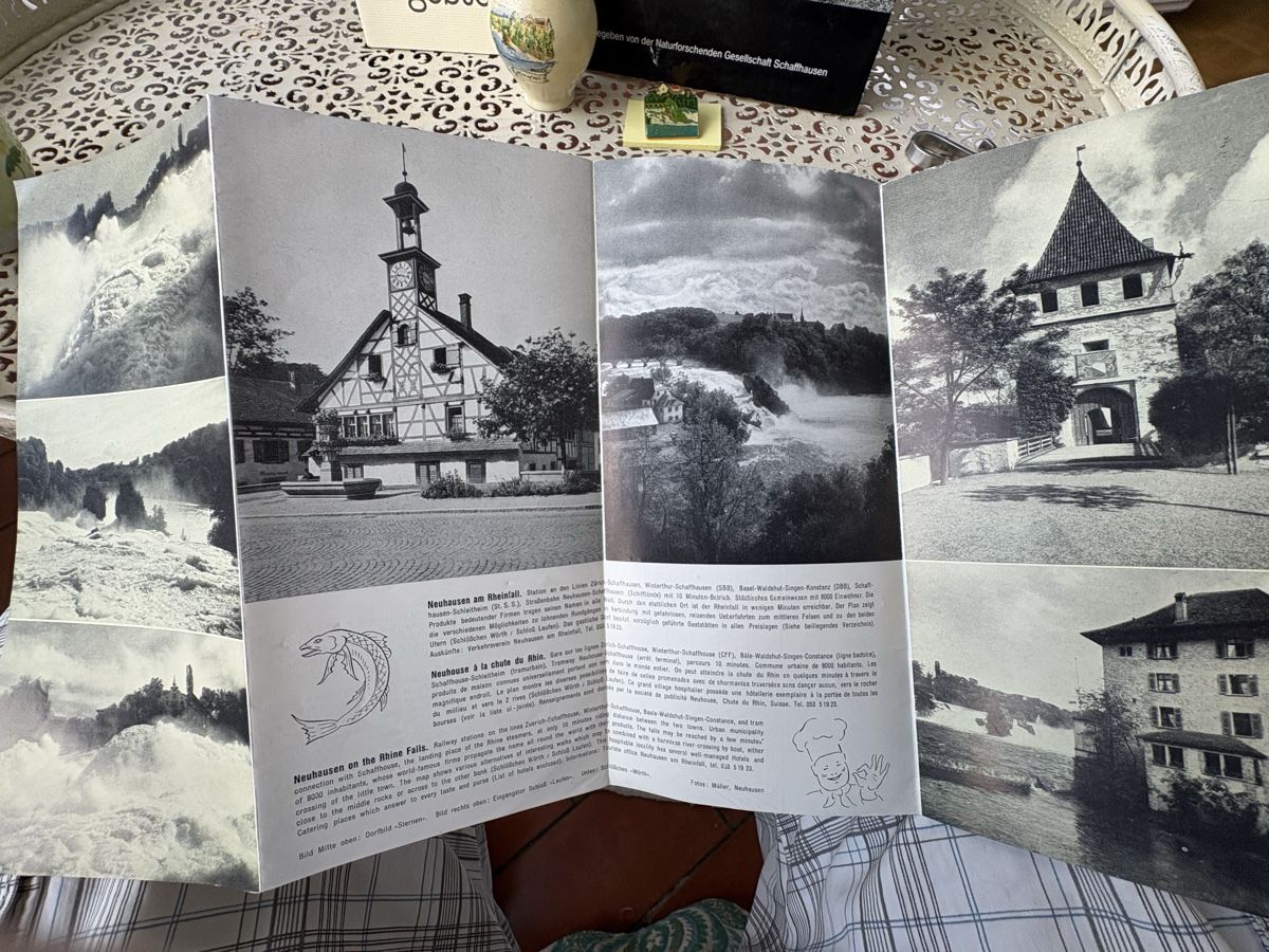 Documenti: Souvenirs von Rheinfall – Usato da Schaffhausen venduto da Reporter 1