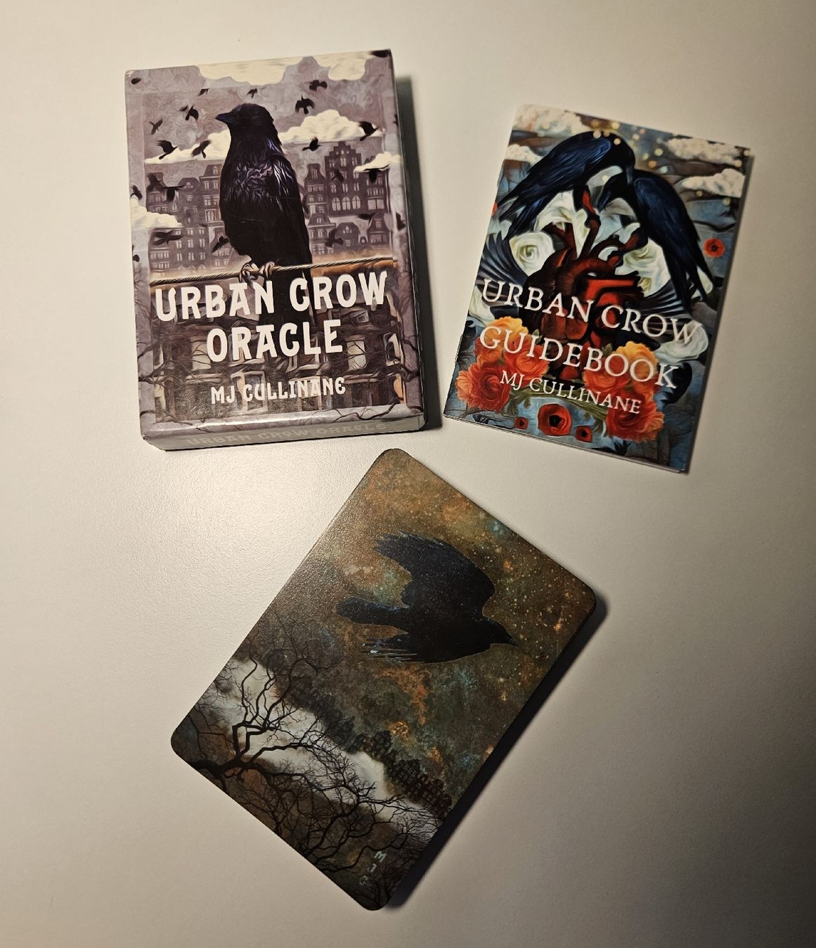 Libri: Urban Crow Oracle – Usato da Nuglar venduto da mjc_cw9f