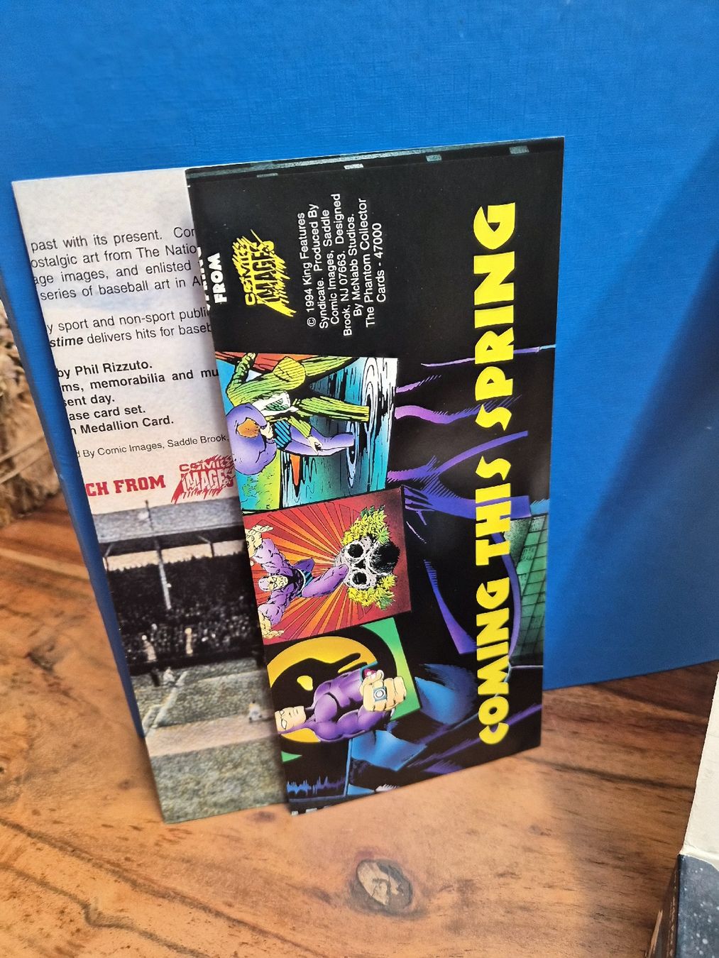 Carte collezionabili: TRADING CARDS PRINCE VALIANT 1995  – Nuovo (secondo la descrizione) da Schönenberg ZH venduto da heaangst 2