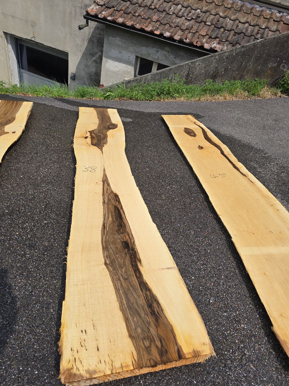 Articoli in legno: Nussbaumstamm frisch – Nuovo (secondo la descrizione) da Ramsei venduto da Waelchris 7