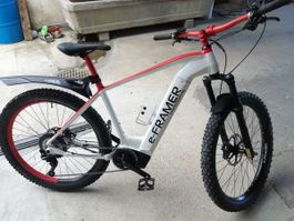 E-Bike e-Framer Swiss Finishing 