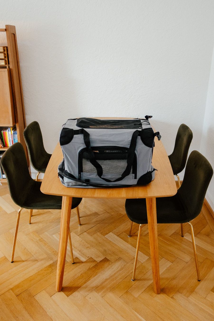 Liege- & Schlafplätze: Transportbox für Hunde oder Katzen – Gebraucht aus Zürich von viv_2tfj