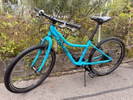 Naloo Chameleon 24'' in Hellblau