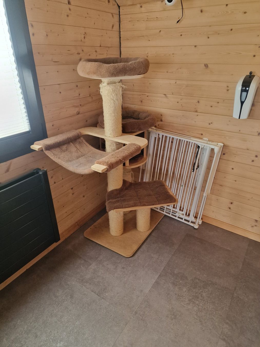 Tiragraffi: Katzenbaum – Usato da triesenberg venduto da Hosman1 1