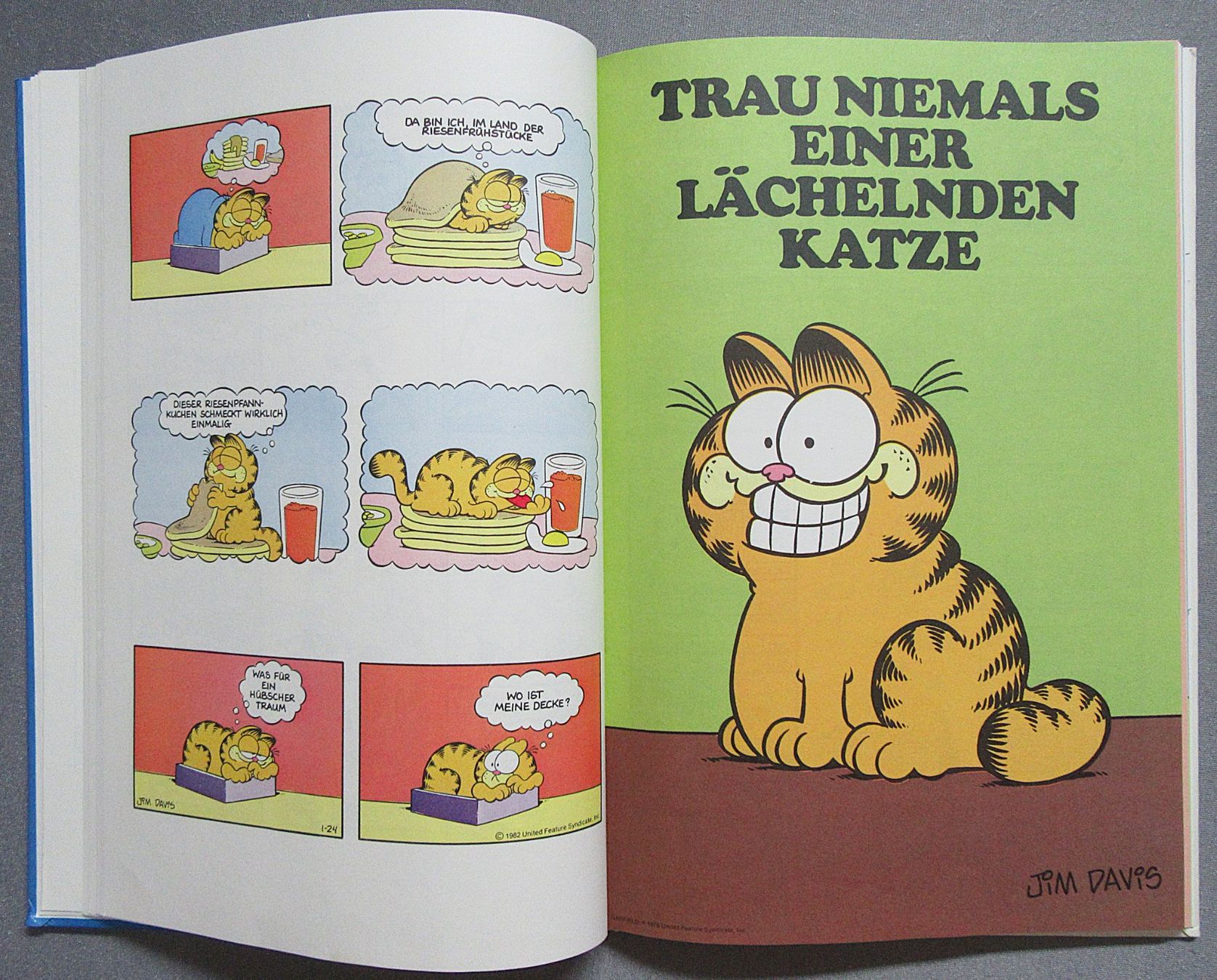 Fumetti: Die Garfield Revue - von Jim Davis – Usato da Auenstein venduto da Padabimbim 6
