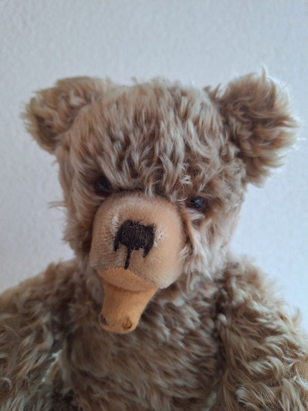 Teddy Hermann Giocattoli: Antiker Teddybär, Teddy Hermann ca. 42 cm – Usato da Sissach venduto da luvama 3