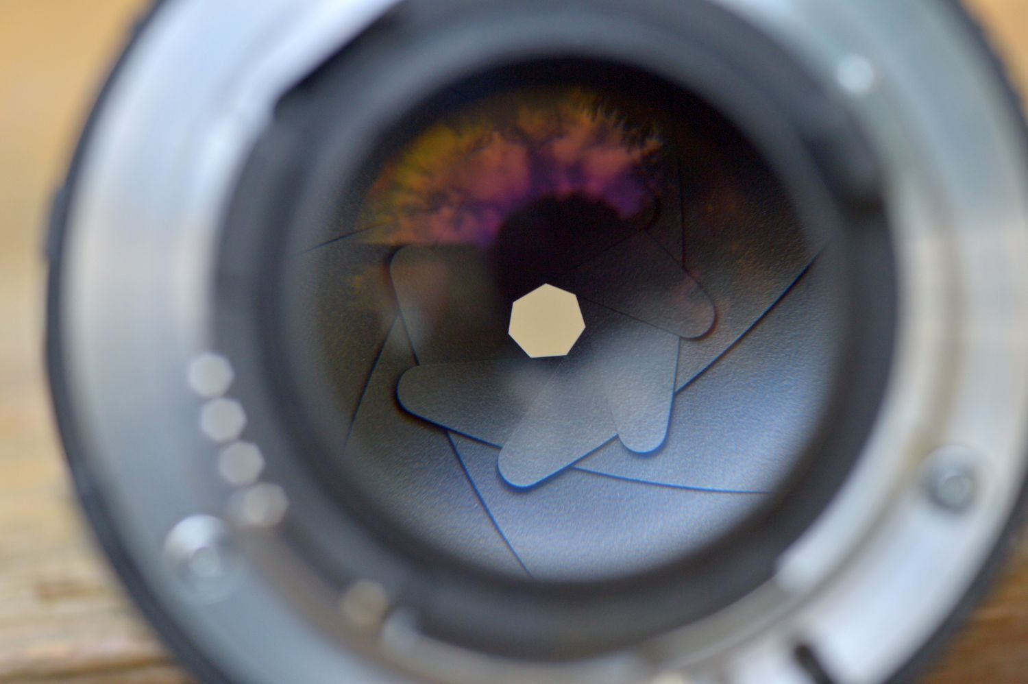 Nikon Obiettivi: Nikon AF 50mm f1.4 D – Usato da Lichtensteig venduto da dan_rj7z 6