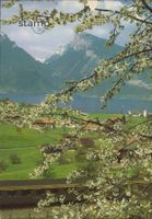 1983 AK Spiez am Thunersee