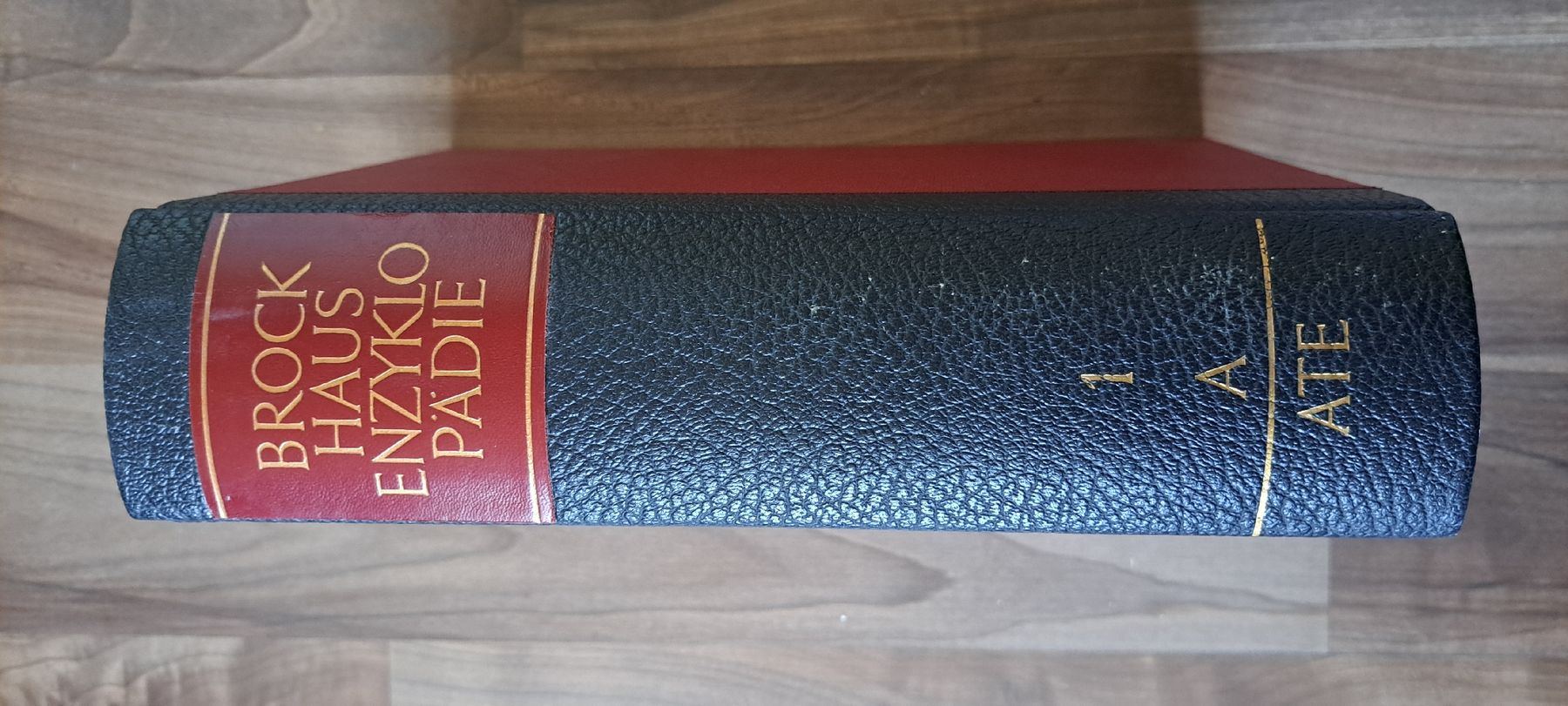 Libri: BROCKHAUS ENZYKLOPÄDIE – Usato da Bubikon venduto da Tempelrider