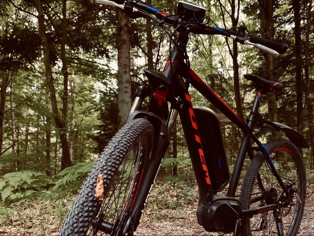 Totem Biciclette: E-Mountainbike TOTEM – Usato da Brunegg venduto da cinmod
