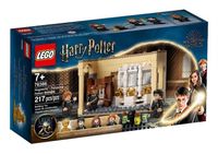 LEGO 76386, Harry Potter, Polyjuice Potion Mistake (NEU)